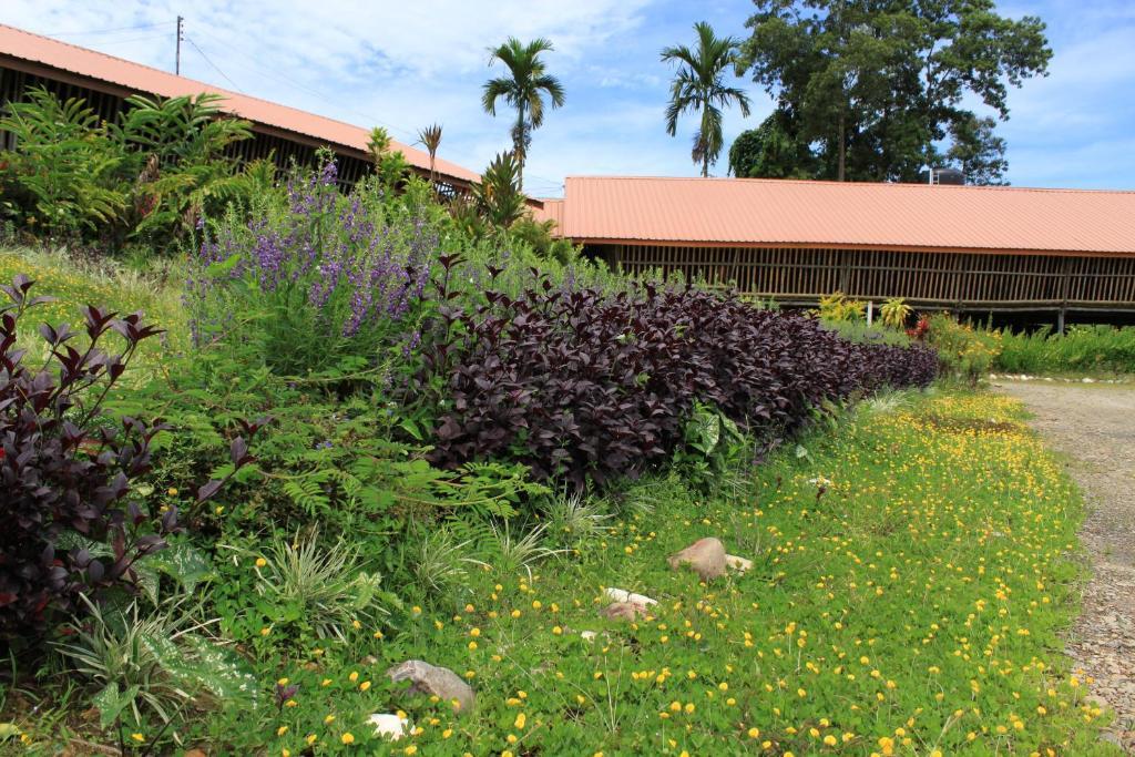 ראנאו Sabah Tea Garden-Longhouses מראה חיצוני תמונה