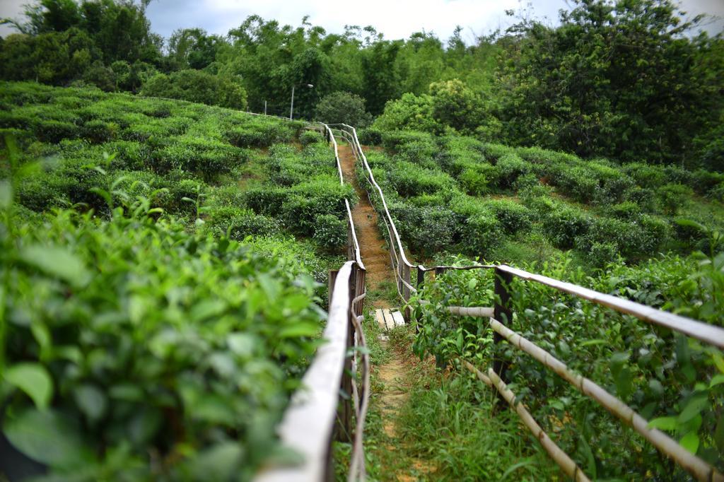 ראנאו Sabah Tea Garden-Longhouses מראה חיצוני תמונה