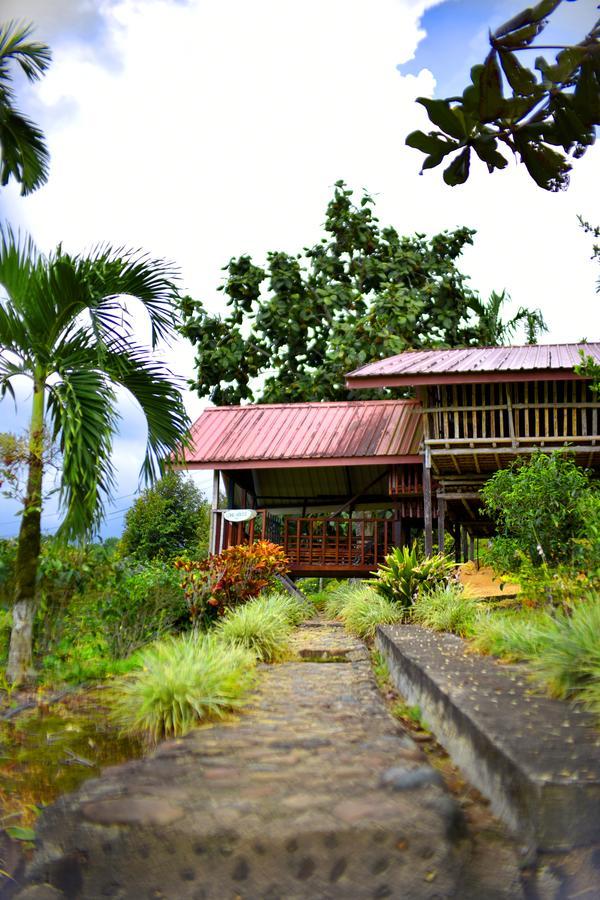 ראנאו Sabah Tea Garden-Longhouses מראה חיצוני תמונה